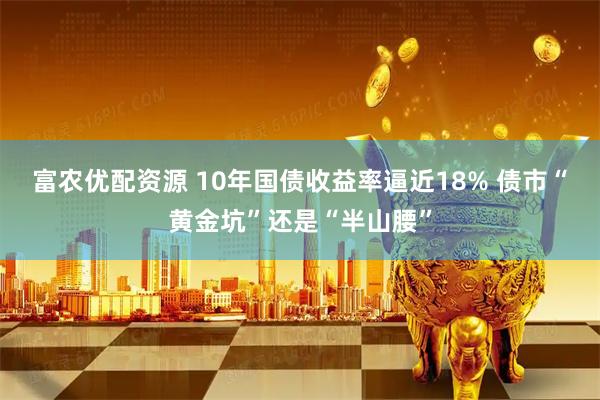 富农优配资源 10年国债收益率逼近18% 债市“黄金坑”还是“半山腰”